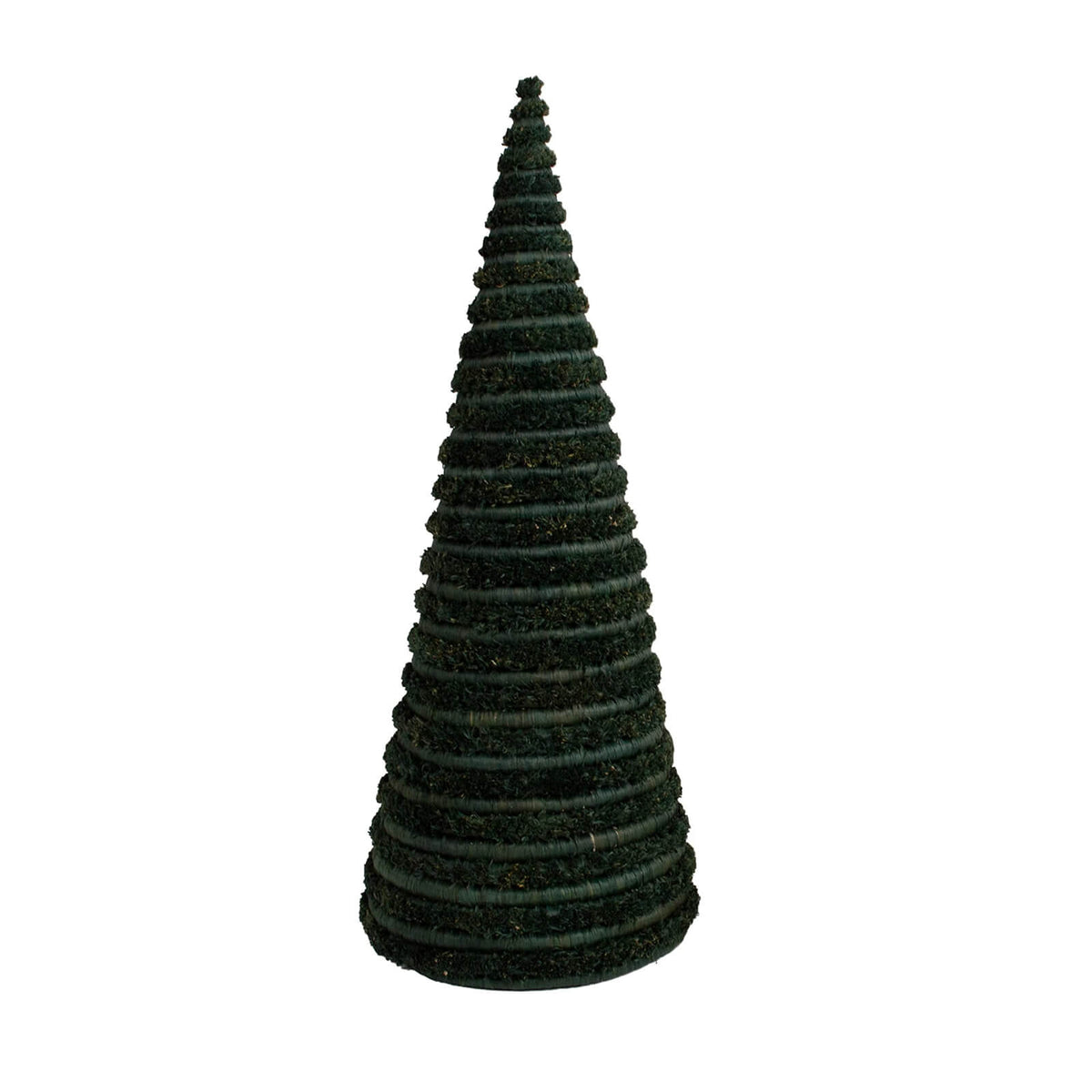 Dark green textured cone-shaped object on a white background