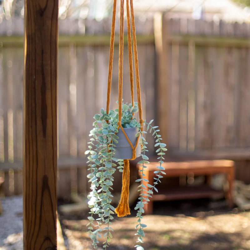 Cotton Rope Plant Hanger