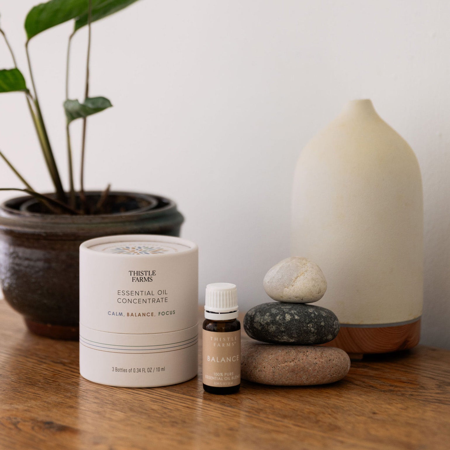 Essential Oil Concentrate Gift Set