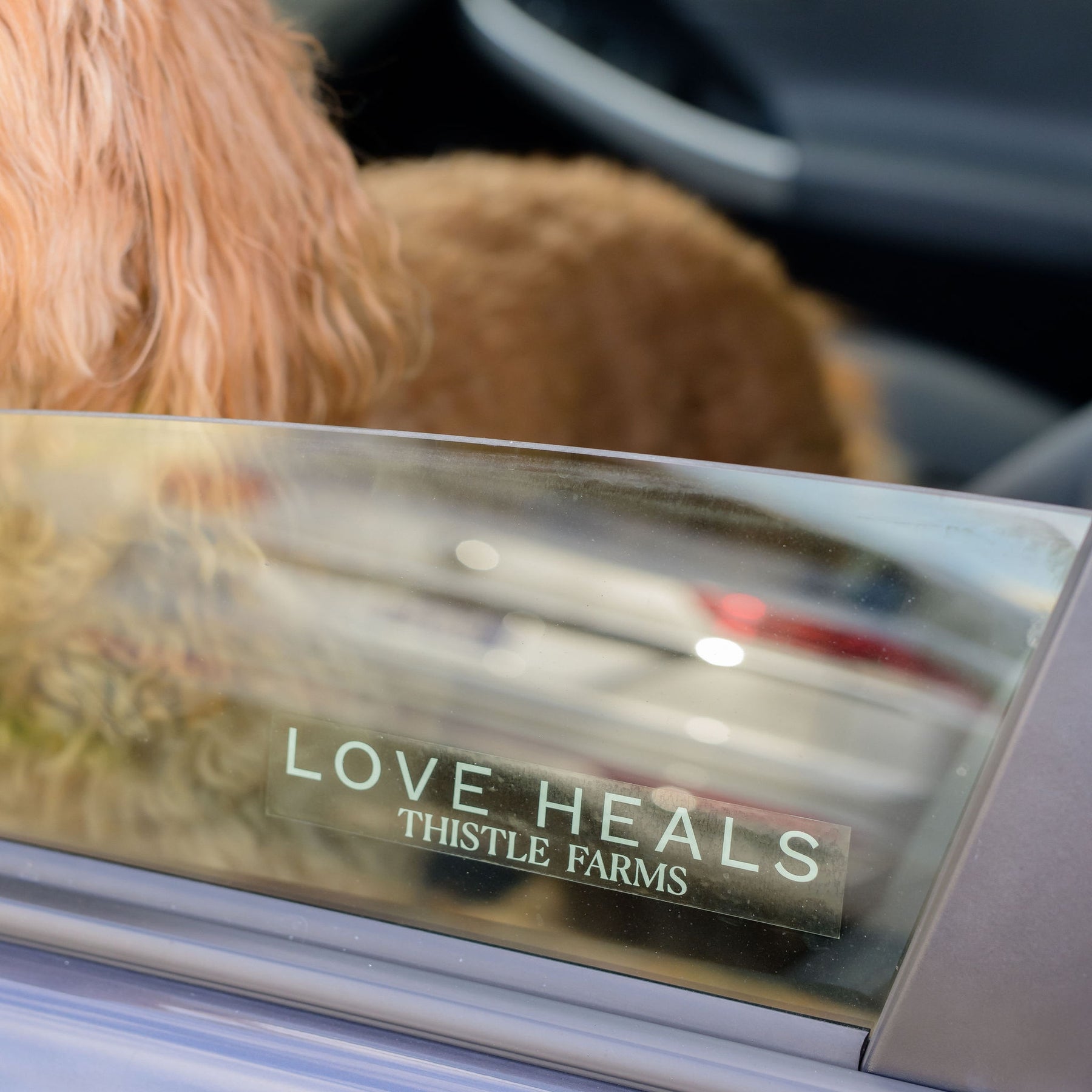 Love Heals Window Cling