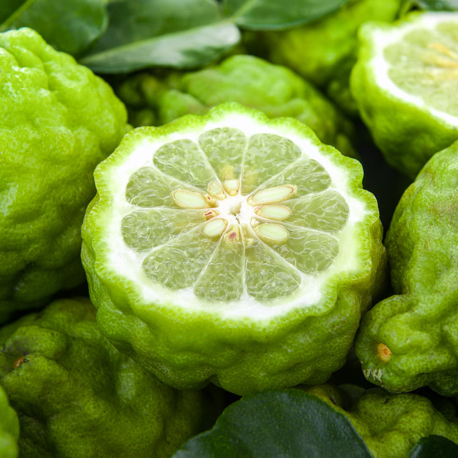 Bergamot