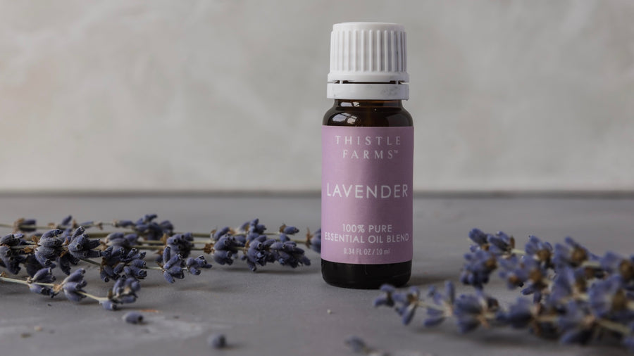 Lavender, the Queen of Essential Oils