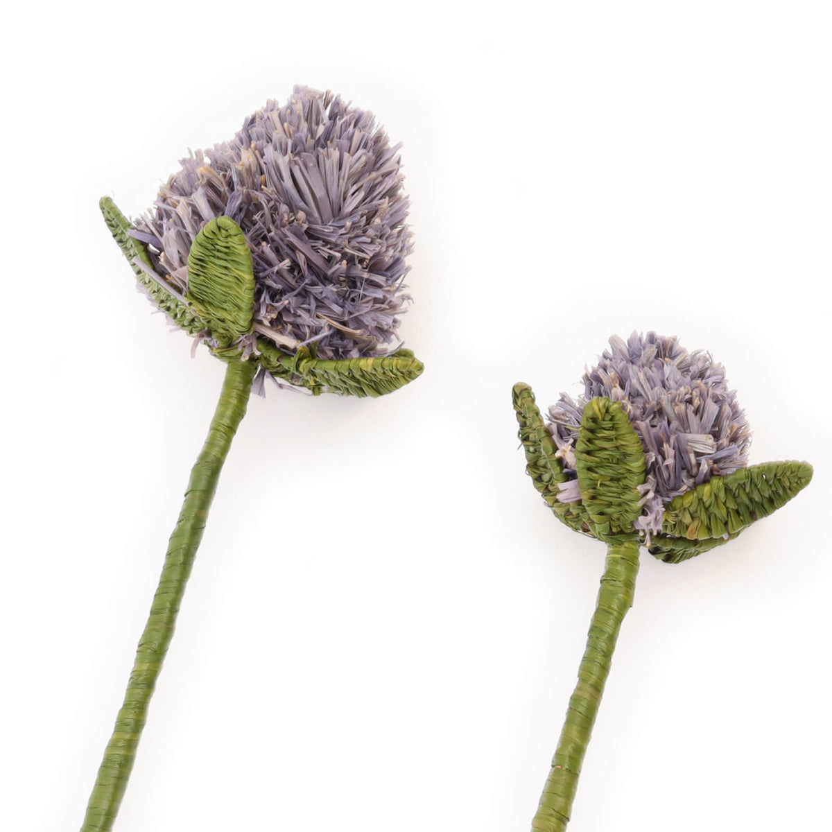 Two woven decorative thistle flowers with green stems and leaves on a white background