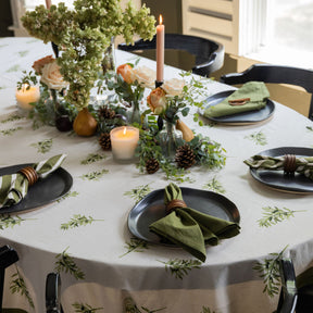 Solid & Stripe Napkin Set