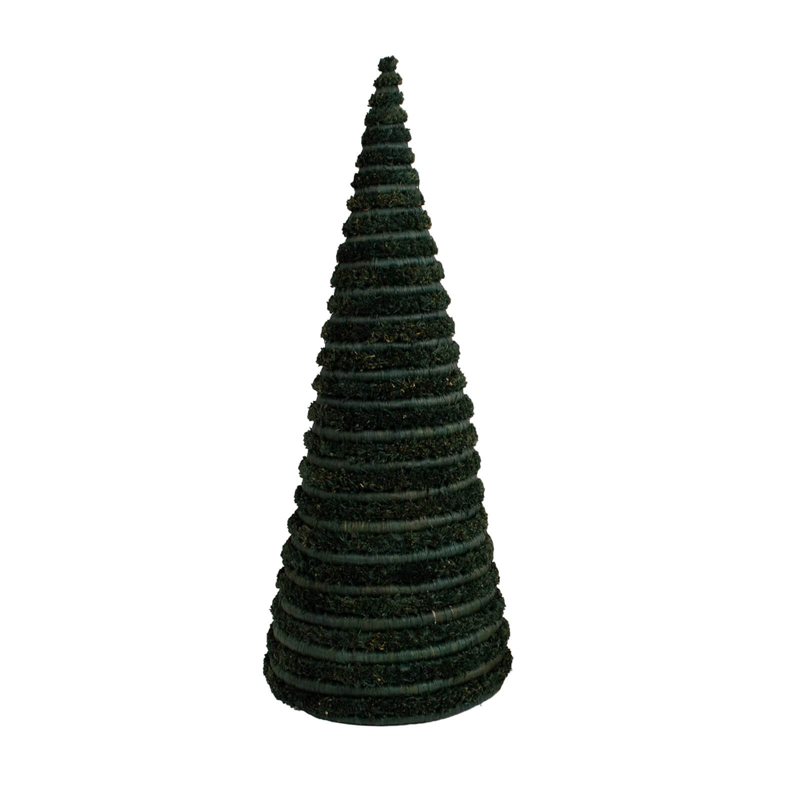 Dark green textured cone-shaped object on a white background