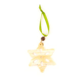 Decorative star ornament with a green ribbon on a white background