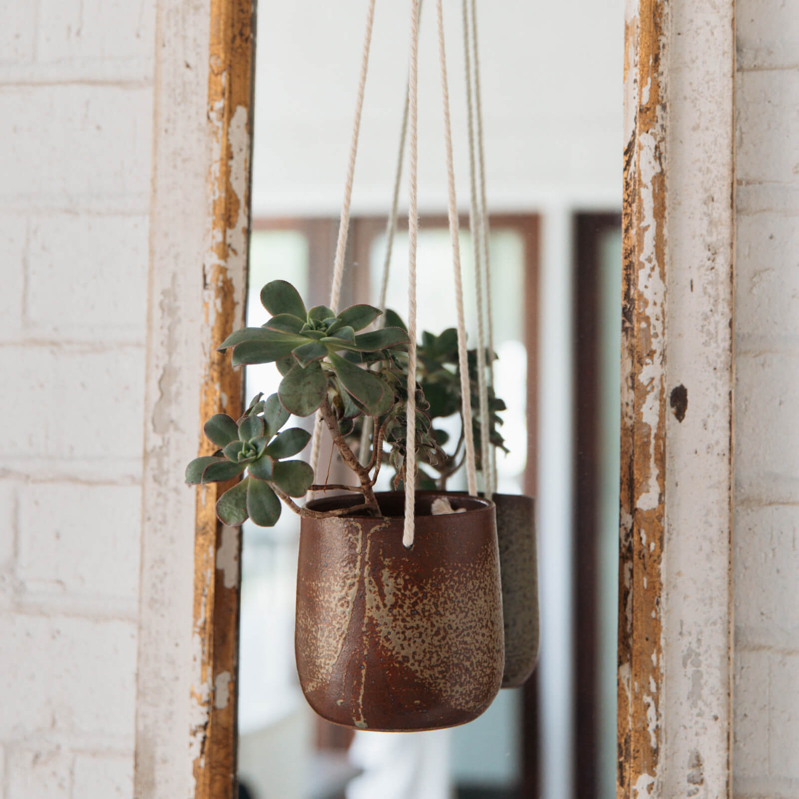 Hanging ceramic planter with succulents against a rustic wooden frame mirror.