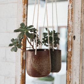 Hanging ceramic planter with succulents against a rustic wooden frame mirror.
