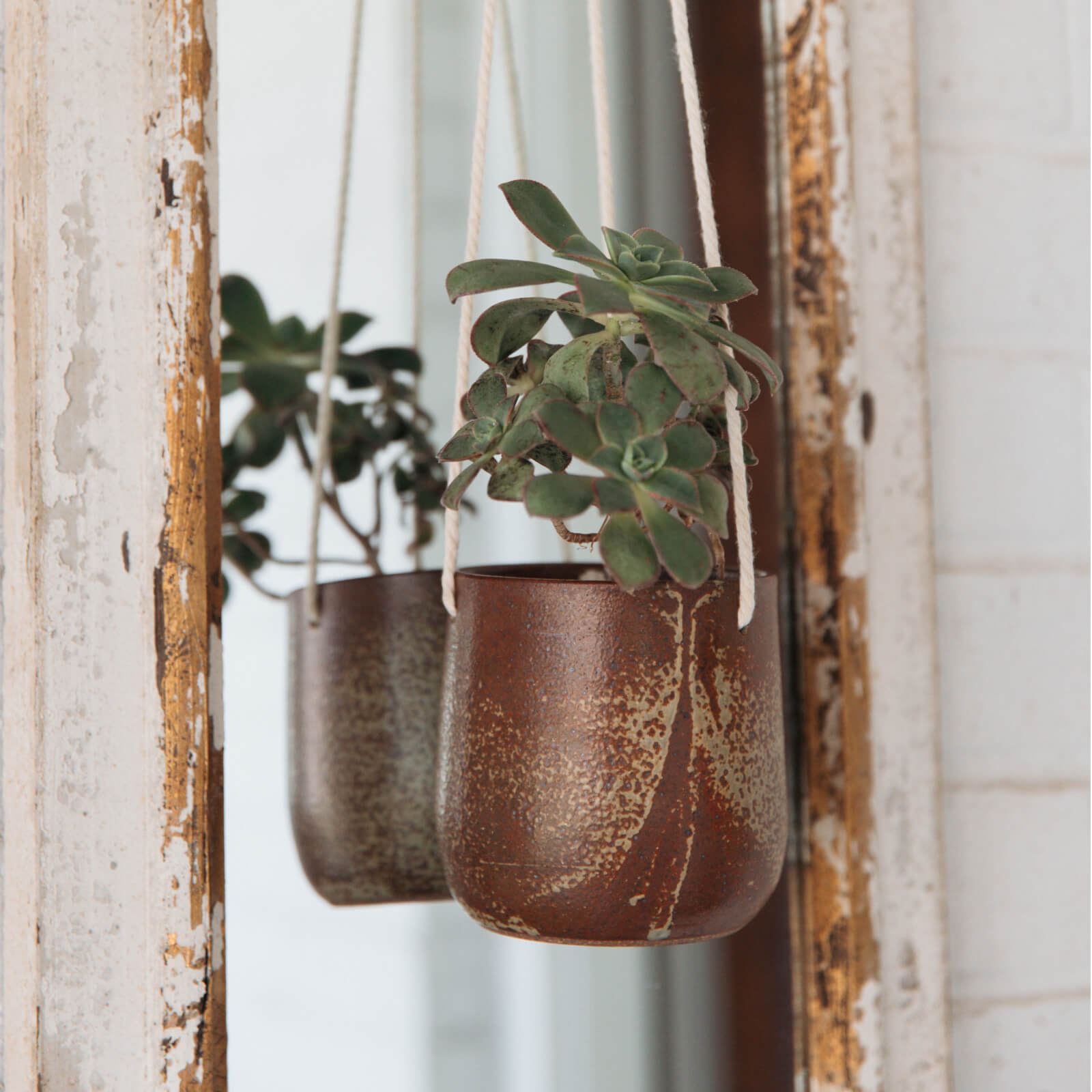 Hanging ceramic planter with succulents against a rustic wooden frame mirror.