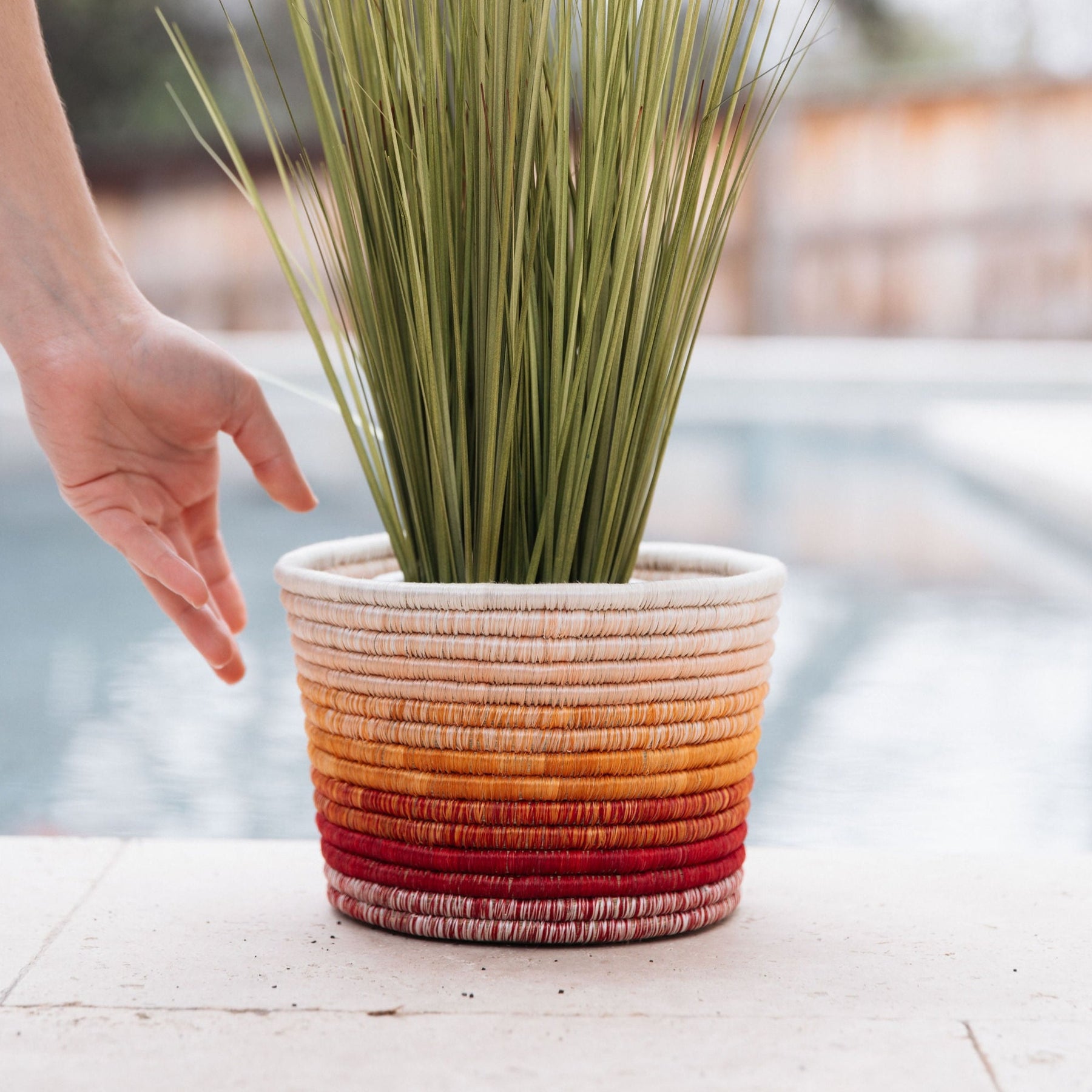 Spark Joy Planter