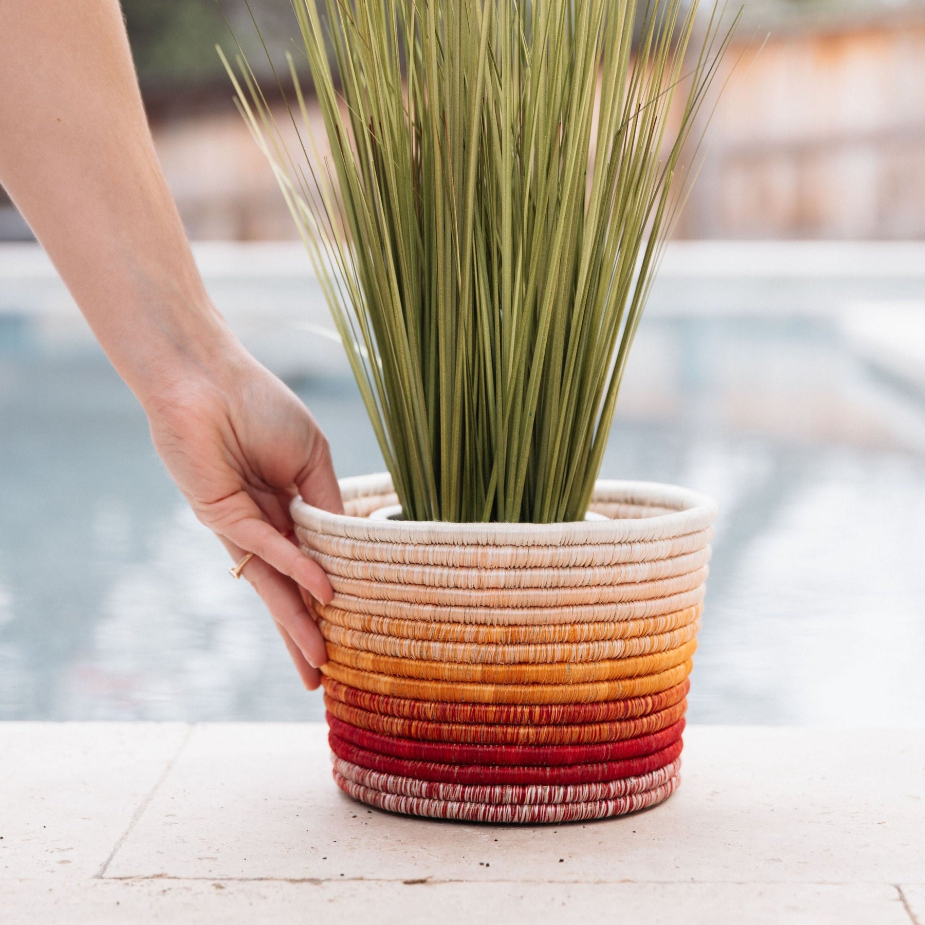 Spark Joy Planter